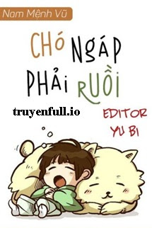 Chó Ngáp Phải Ruồi - Nam Mệnh Vũ